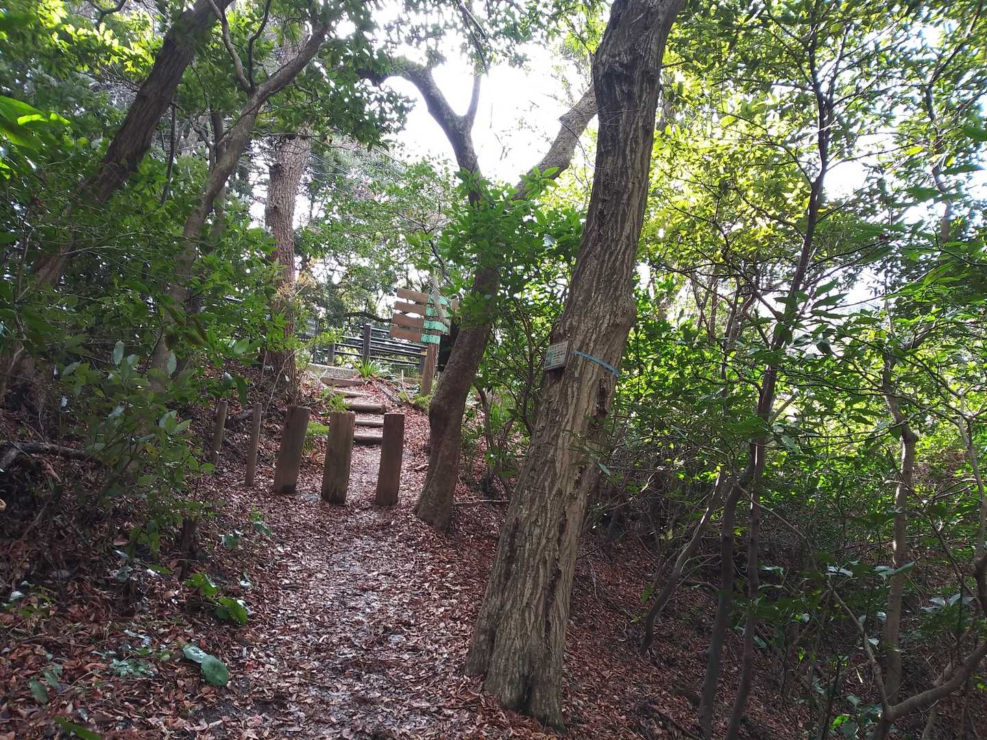 平迄来ました･🚶。