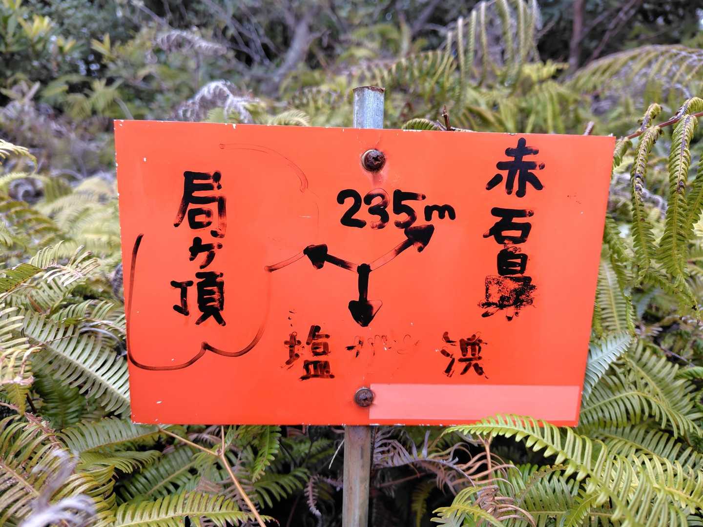 ここで一旦登りは終了👏🙌で分岐点になります‼️