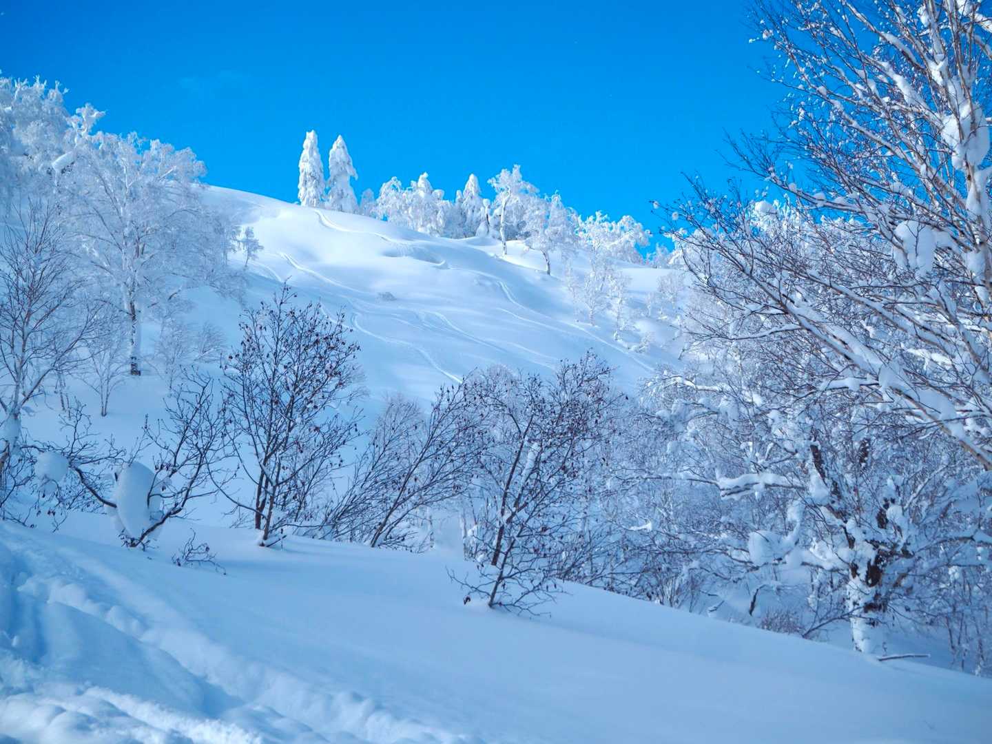 この辺りめちゃくちゃ綺麗で写真撮って撮りに忙しかった😆