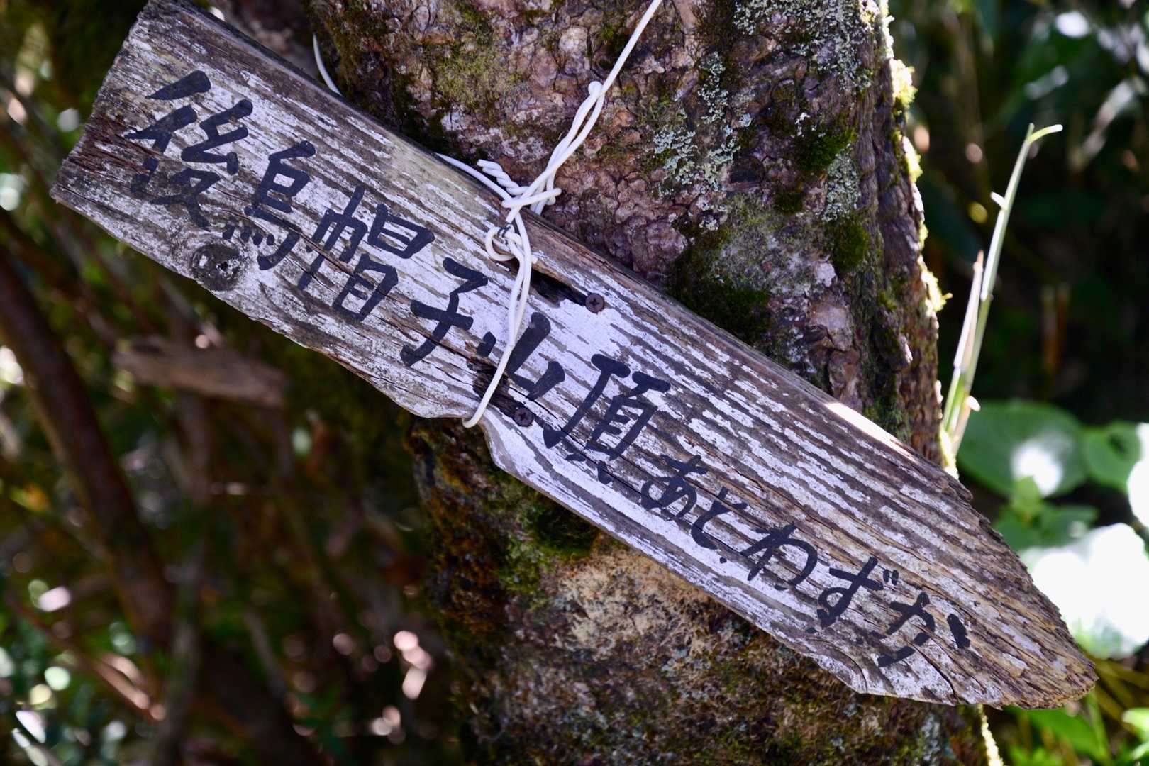 だんだん空が近くなって、この上にはもう空しかない…「あとわずか」ってどれくらいなんだろう