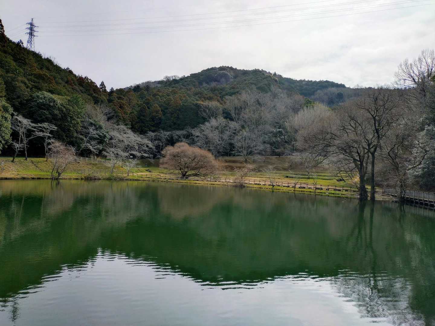 向こうの山に行きます