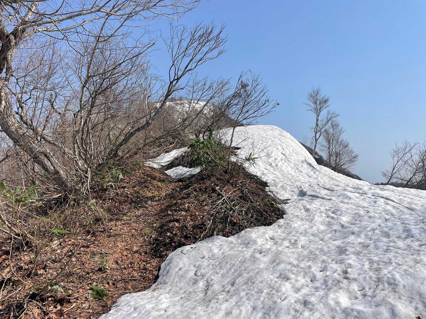 右手が雪庇で左手が登山道　雪庇側を歩かぬように気をつける　山頂の尾根線はこんな感じのルート選択が沢山ある
