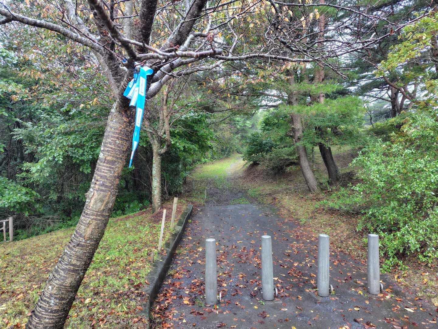 道中雨が止み、作戦通り！ってはしゃいでごめんなさい。駐車場に着いたら土砂降り☔