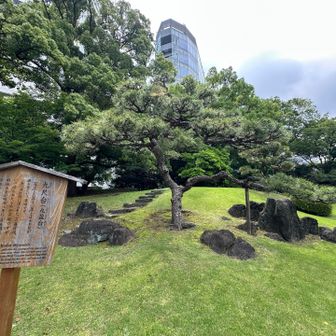 私も九尺台へ行ってみましょう⤴︎