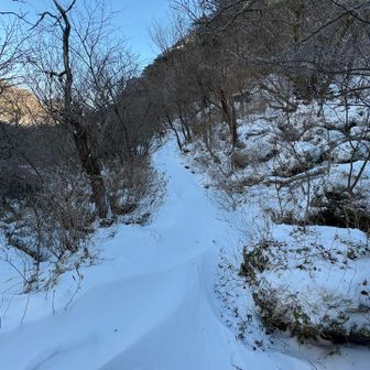 風穴、立岩への周回路は誰も歩いてない😳