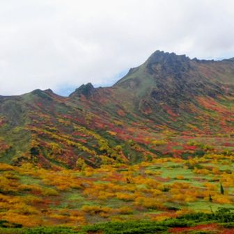 色付いたアンギラスの斜面🍁
素敵すぎる😍