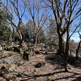 でも、山頂テープ、プレートとかは見つからず、、、ま、いっか、、、