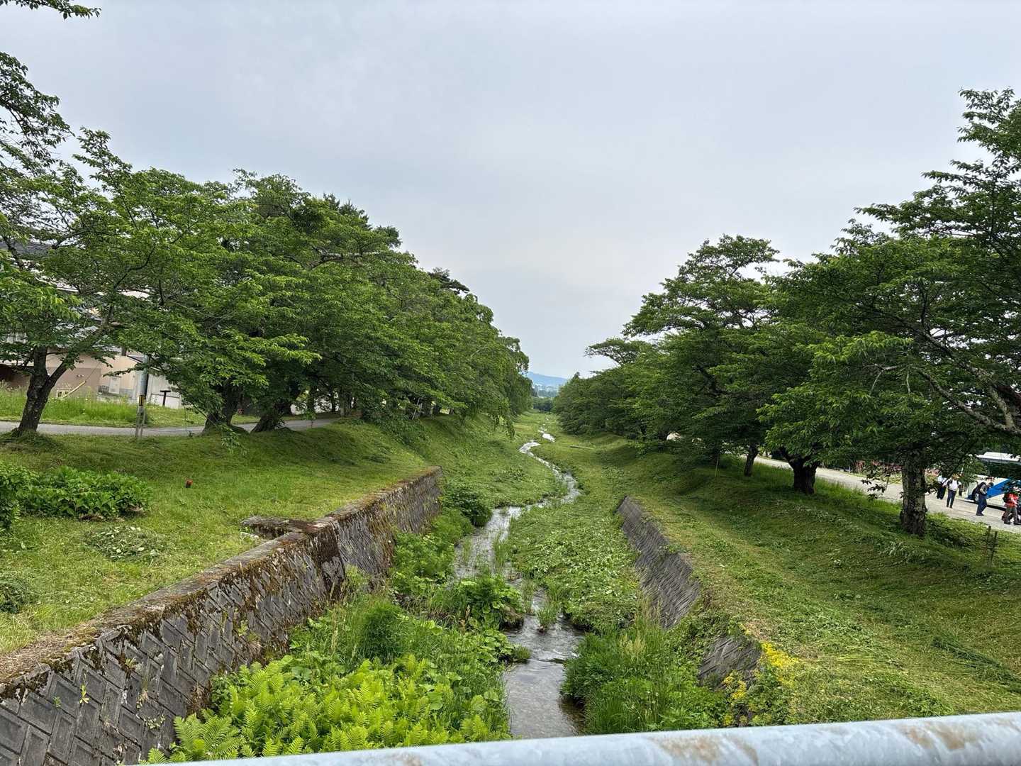 道の駅から観音寺川桜駐車場で下車。
春は桜並木🌸なんですね。