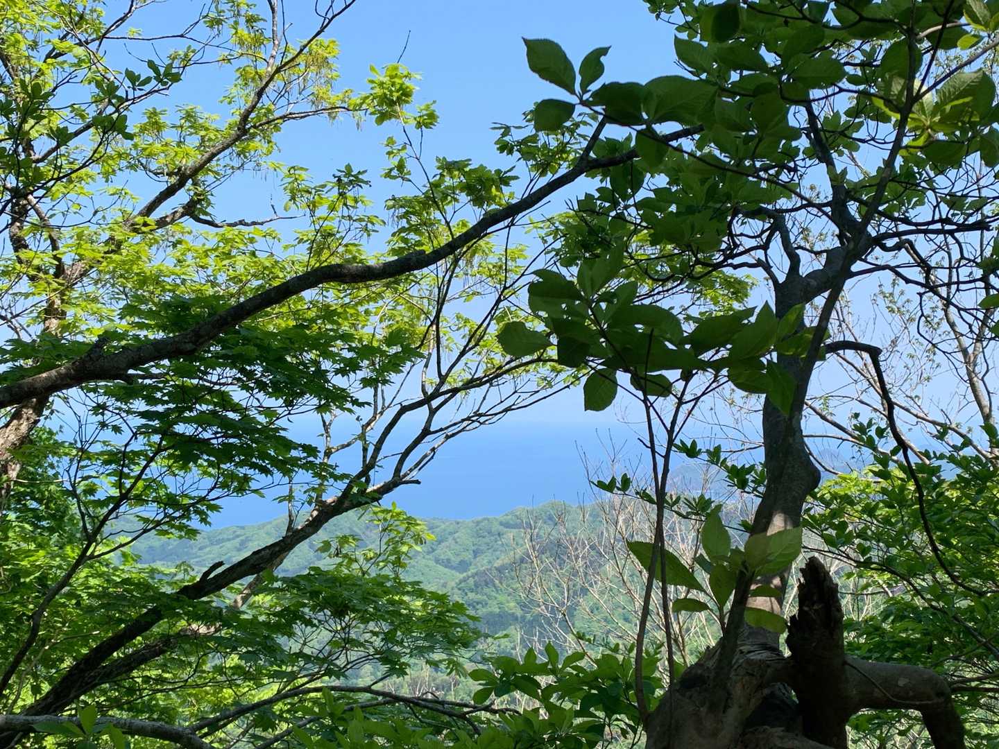 隙間から見える、海and空