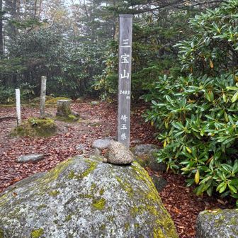 ヘロヘロになりながら三宝山。山頂が広い。
