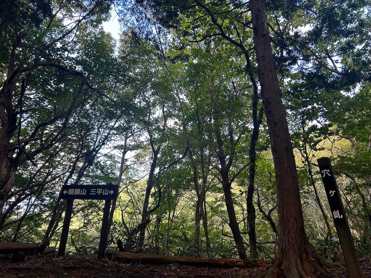 三平山-穴ヶ乢 周回コースの写真