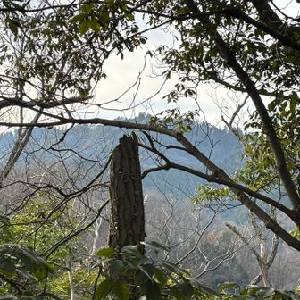 山頂からは景信山方面が見えています