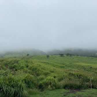 気温22℃、数日前の雨とご覧の通りのガスで樹林帯の湿度はおそらく100%、そして無風。

すでにこれから出る症状の環境は整っていた