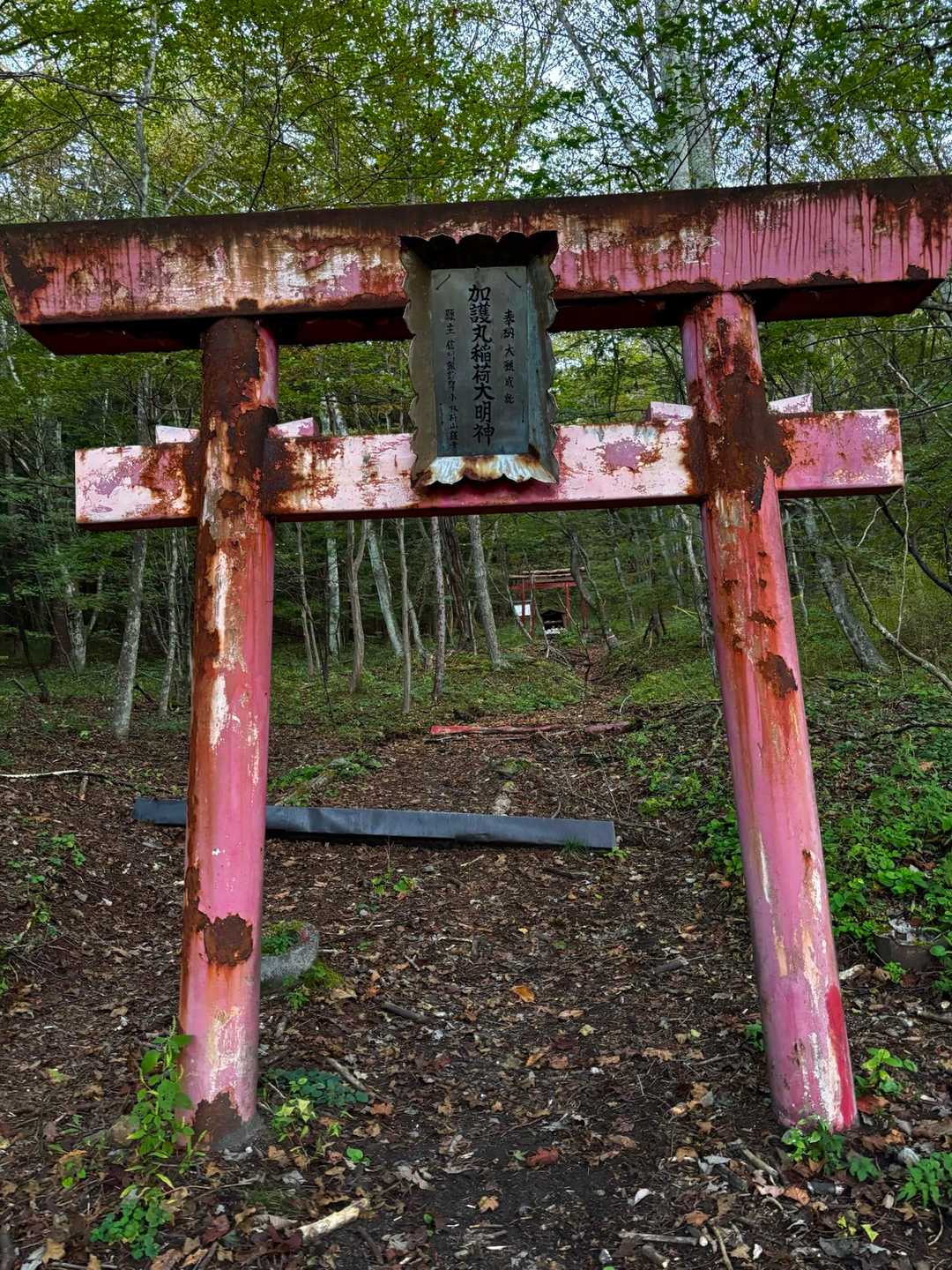 朝のお山はいつもどおりであった
イノシシが走り、鹿が鳴く賑やかな森

男は無事に下山する