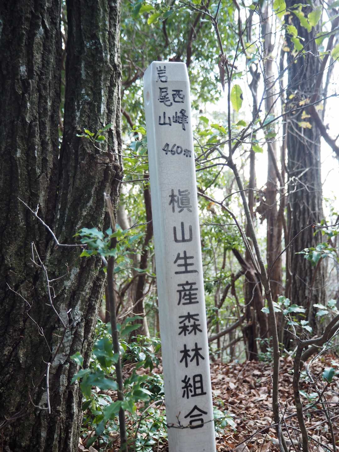 岩尾山西峰山頂到着‼️
展望はありません