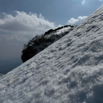 真横から懺悔🙇‍♀️