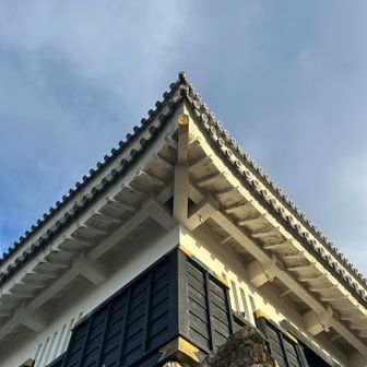 岐阜城の屋根🏯