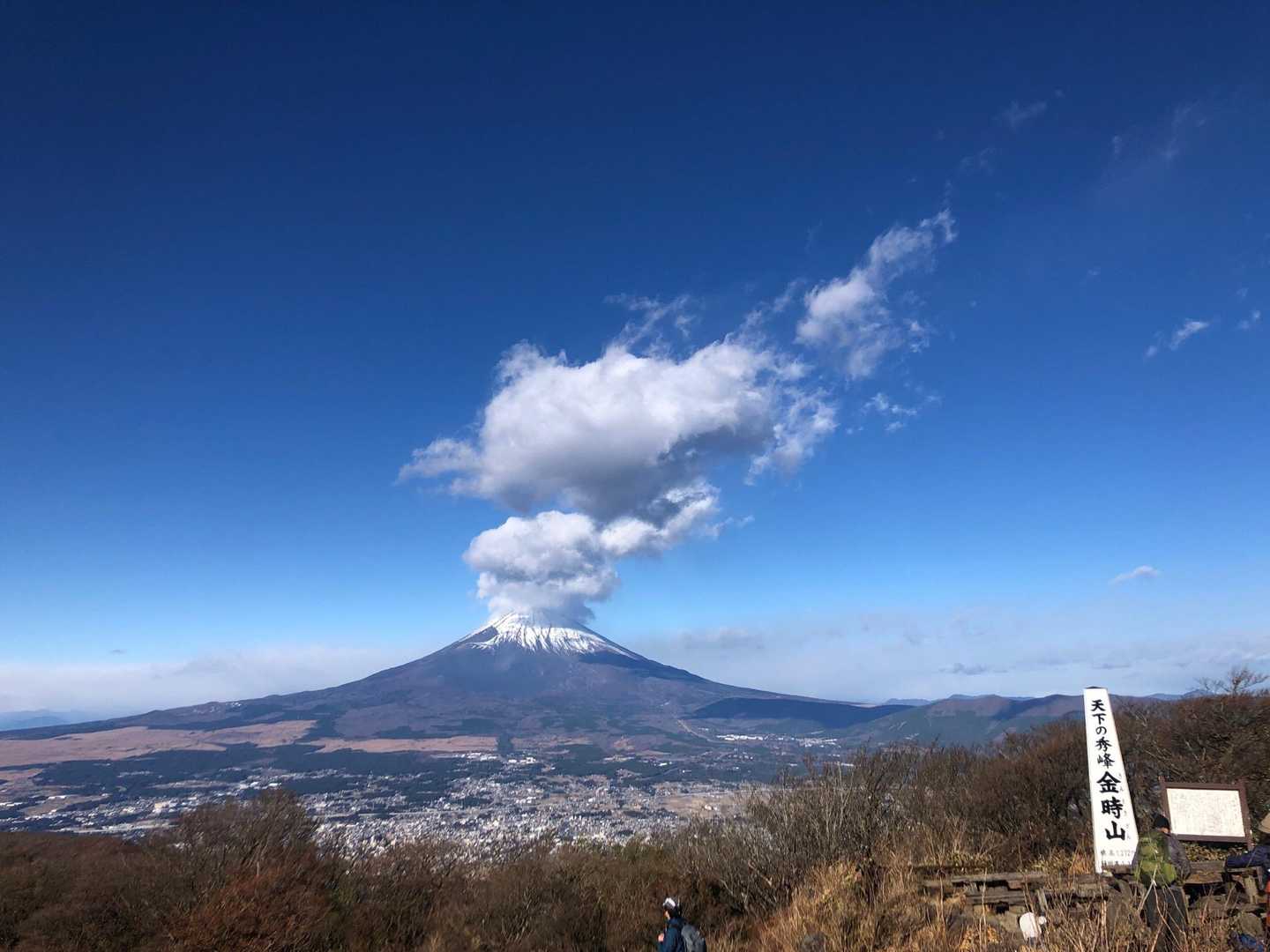 公時神社登山口-金時山-矢倉沢峠-明神ヶ岳-宮城野 縦走コースの写真