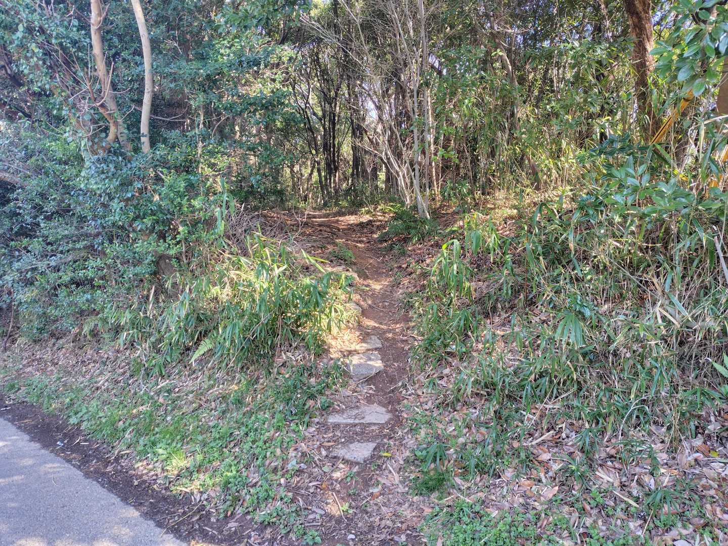 高塔霊園抜けたらこの道へ