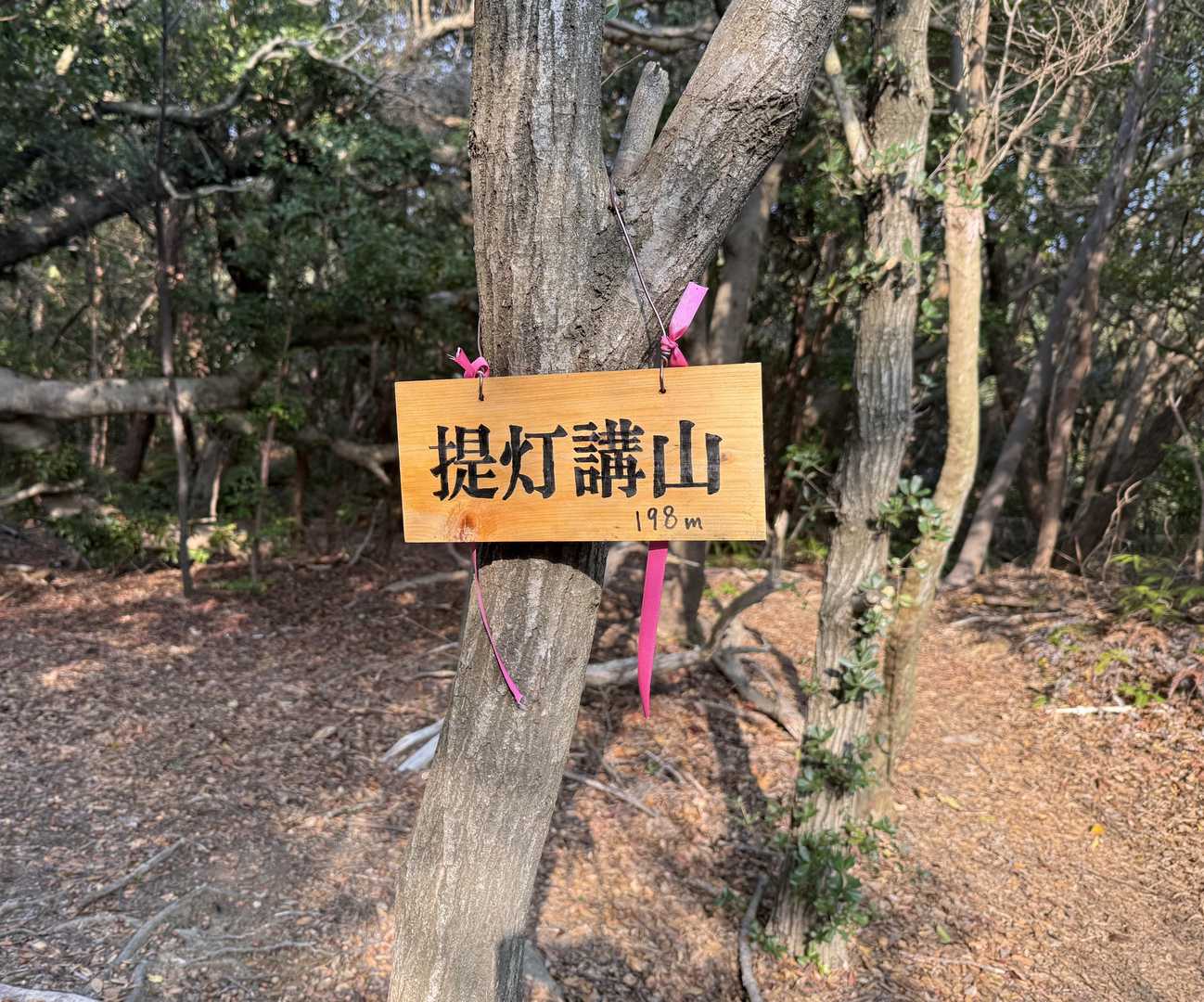 孝子駅-高仙寺-高野山-飯盛山-提灯講山-みさき公園駅 縦走コースの写真