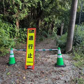 🚫車両通行止付近の浅間山標高317m