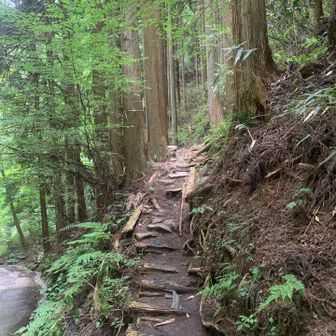 さあ、文珠中尾根です。