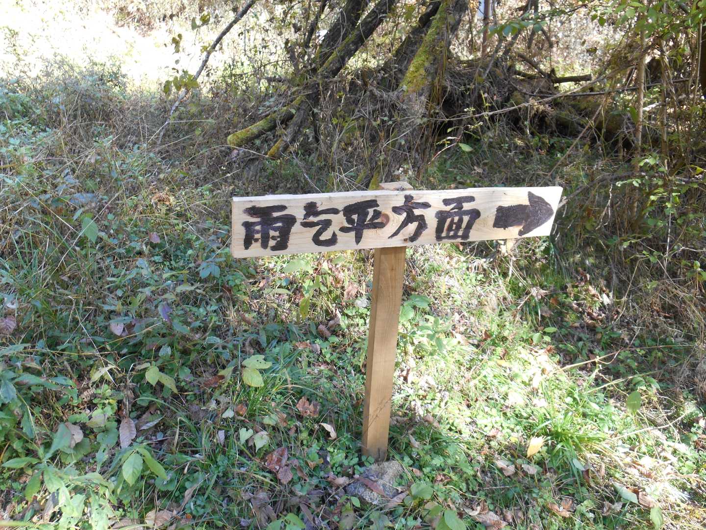 石切場跡からは椚平登山口へ

前回は途中で道を間違えたのでリベンジします。