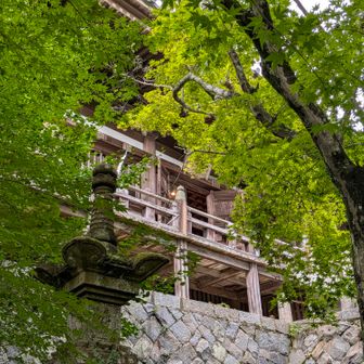 大講堂を見上げる。
お参りして🙏
雨雲レーザーで夕立が迫っているようなので、急いで下山しました⚡