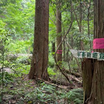 さて宇美新道を行きます。
序盤は緩やかですが、途中から一気に垂直気味に登ります。
山行の終盤に来るとかなりこたえます🤣