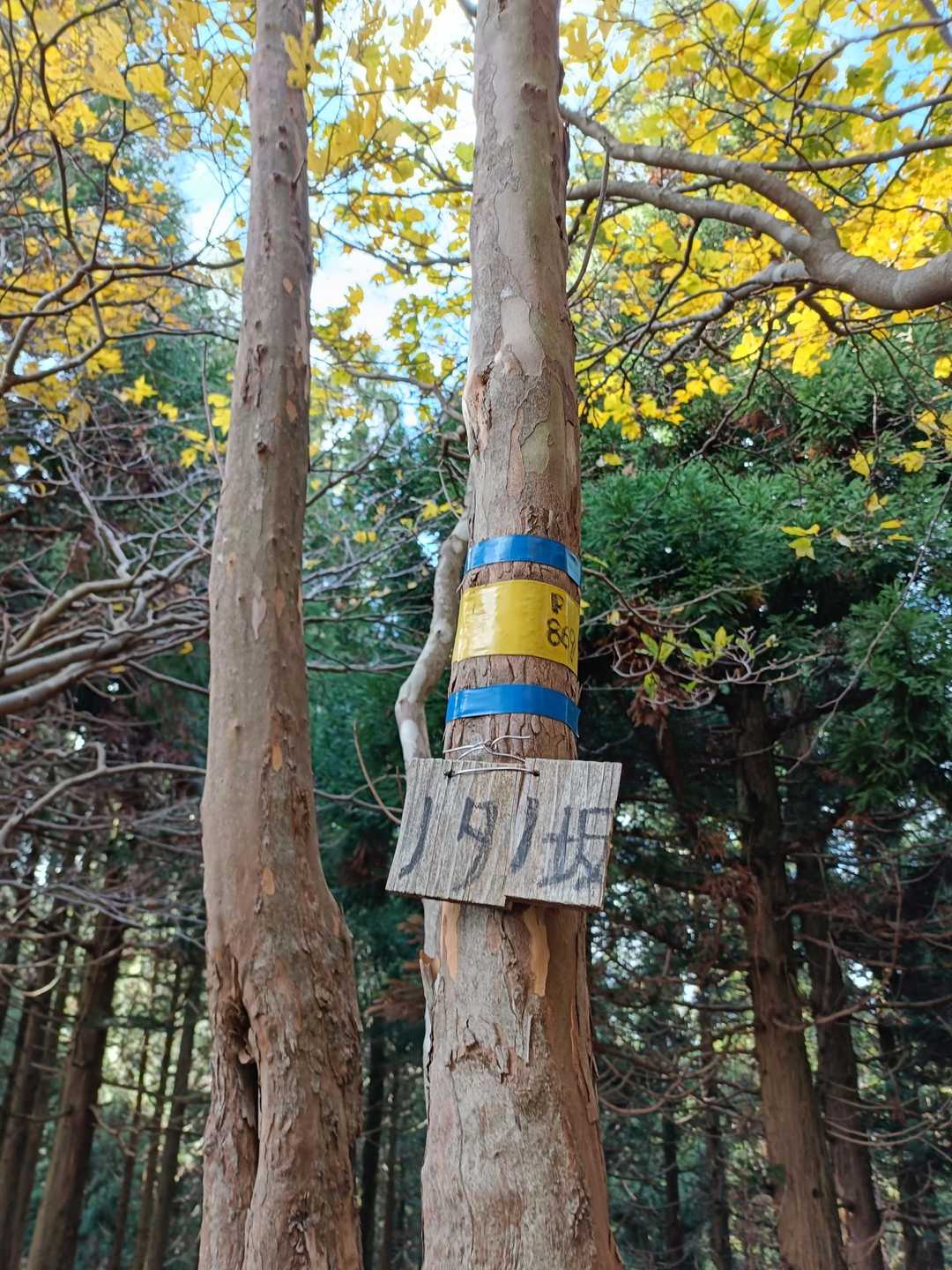 ここがノタノ坂かと思ったら
も少し先だった