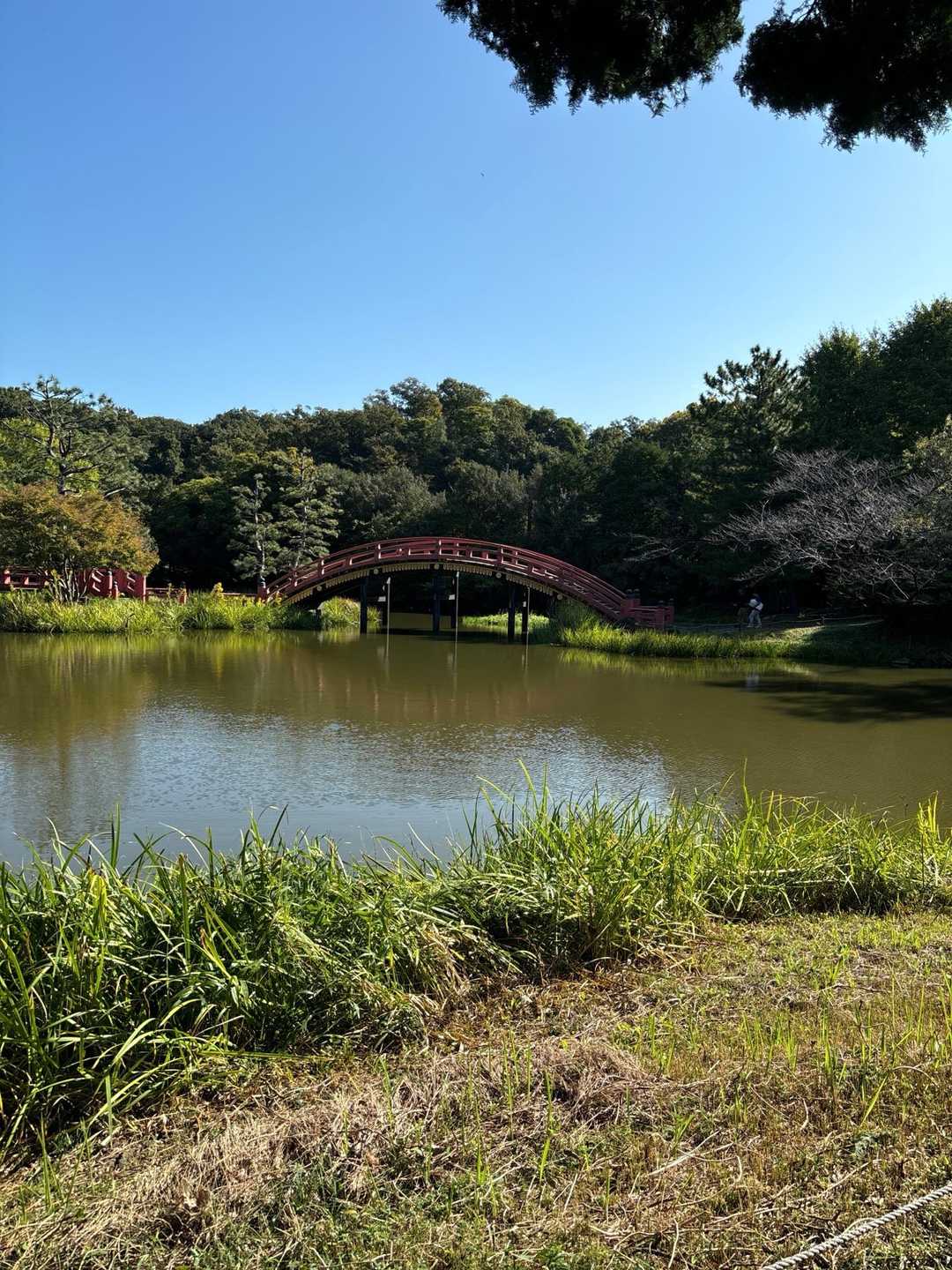 仁王門-称名寺-称名寺市民の森入口-金沢山 往復コースの写真