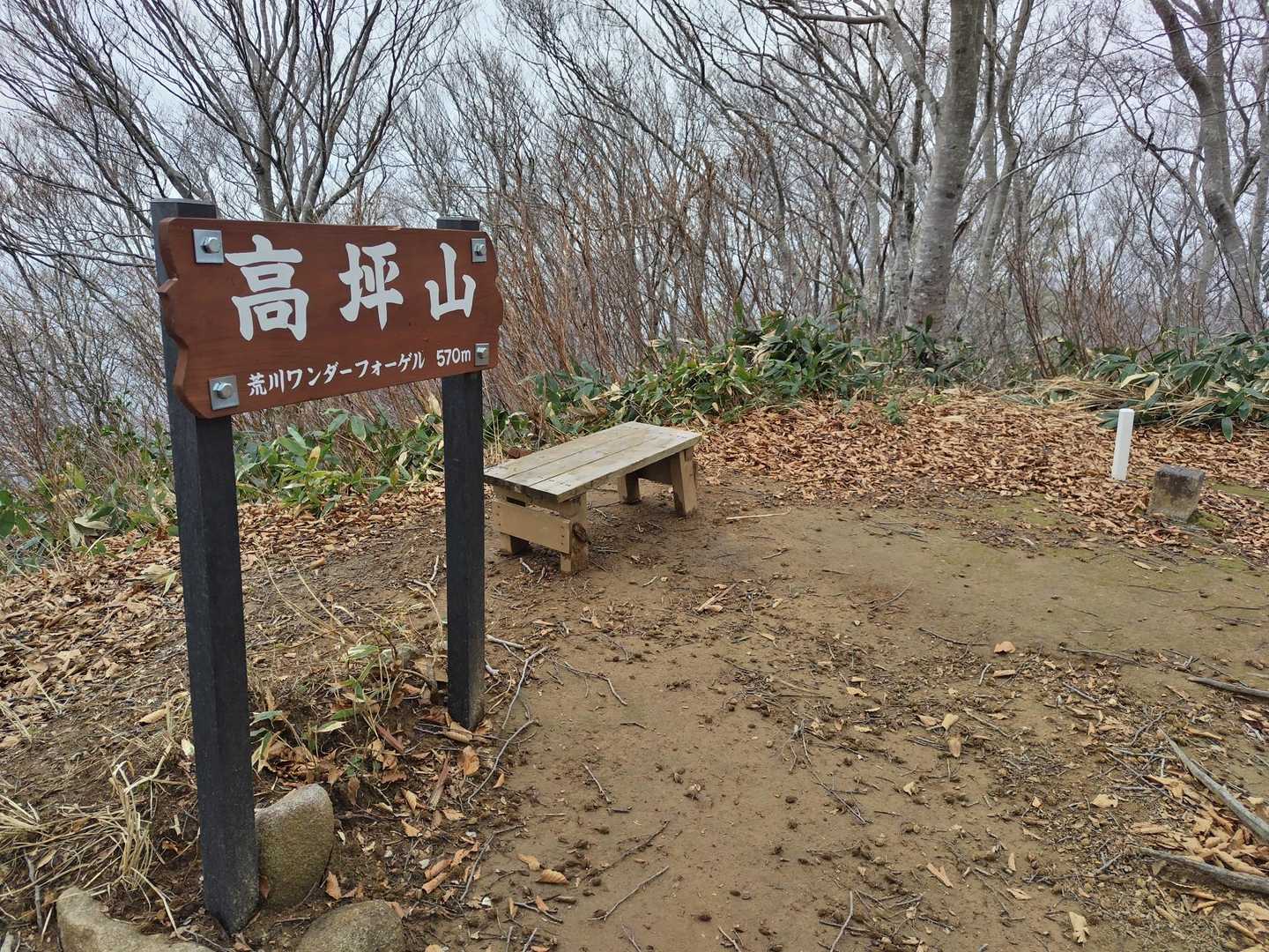 高坪山に登頂！