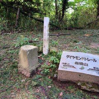 岩橋山の山頂札が石で頑丈やな👍