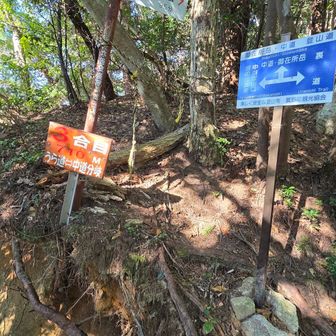 3合目。
休憩しながら写真を撮る。