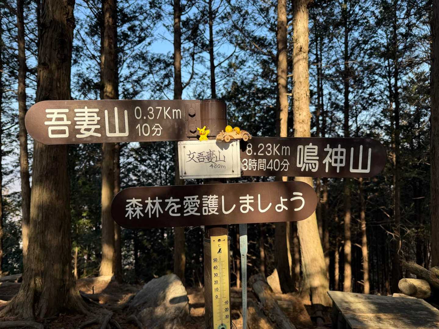 10分位で女吾妻山
到着しました
