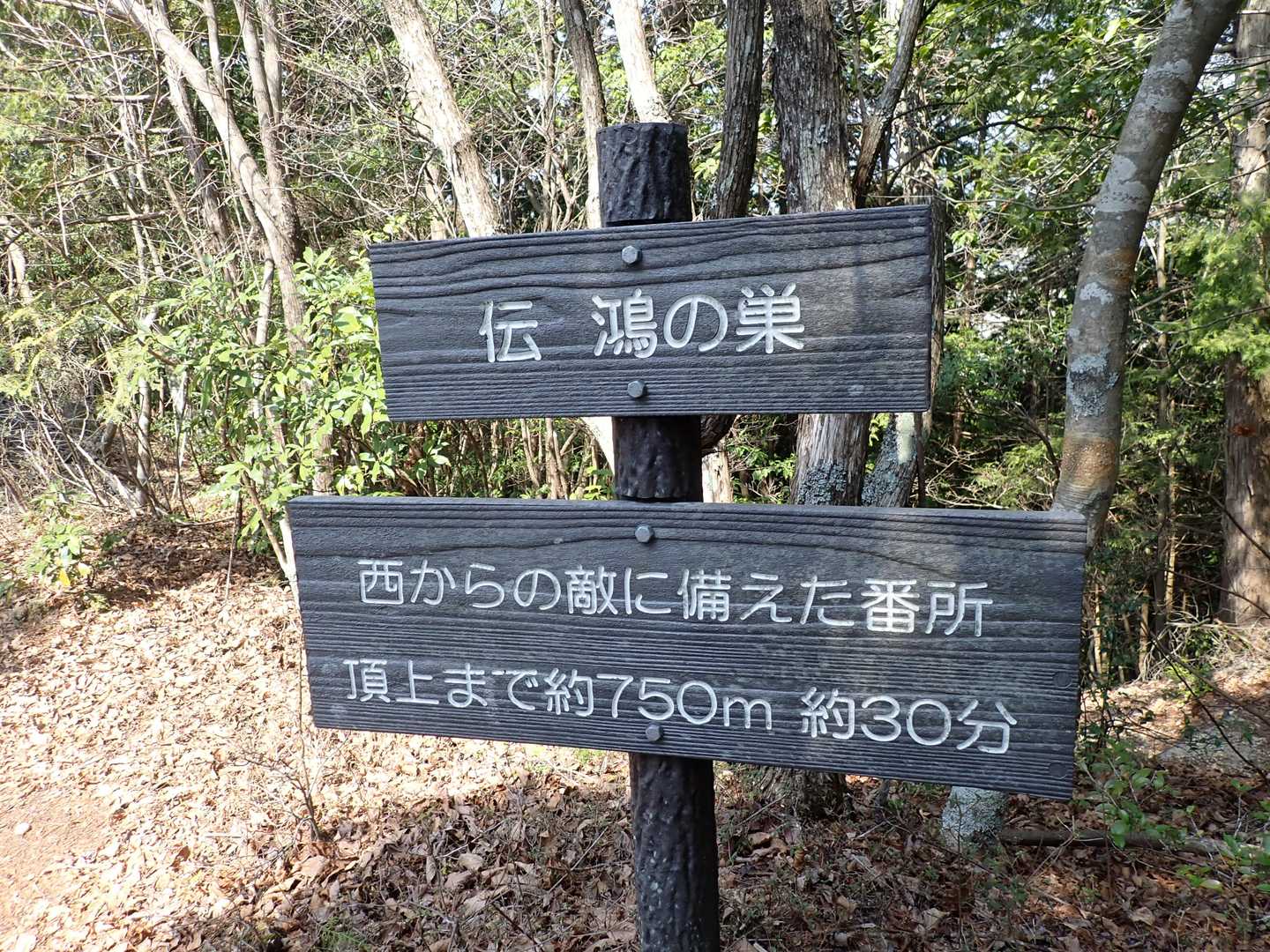 高城山登山道入口-高城山 往復コースの写真