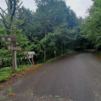 東海自然歩道って書いたるけど、ここは｢車道｣🚗