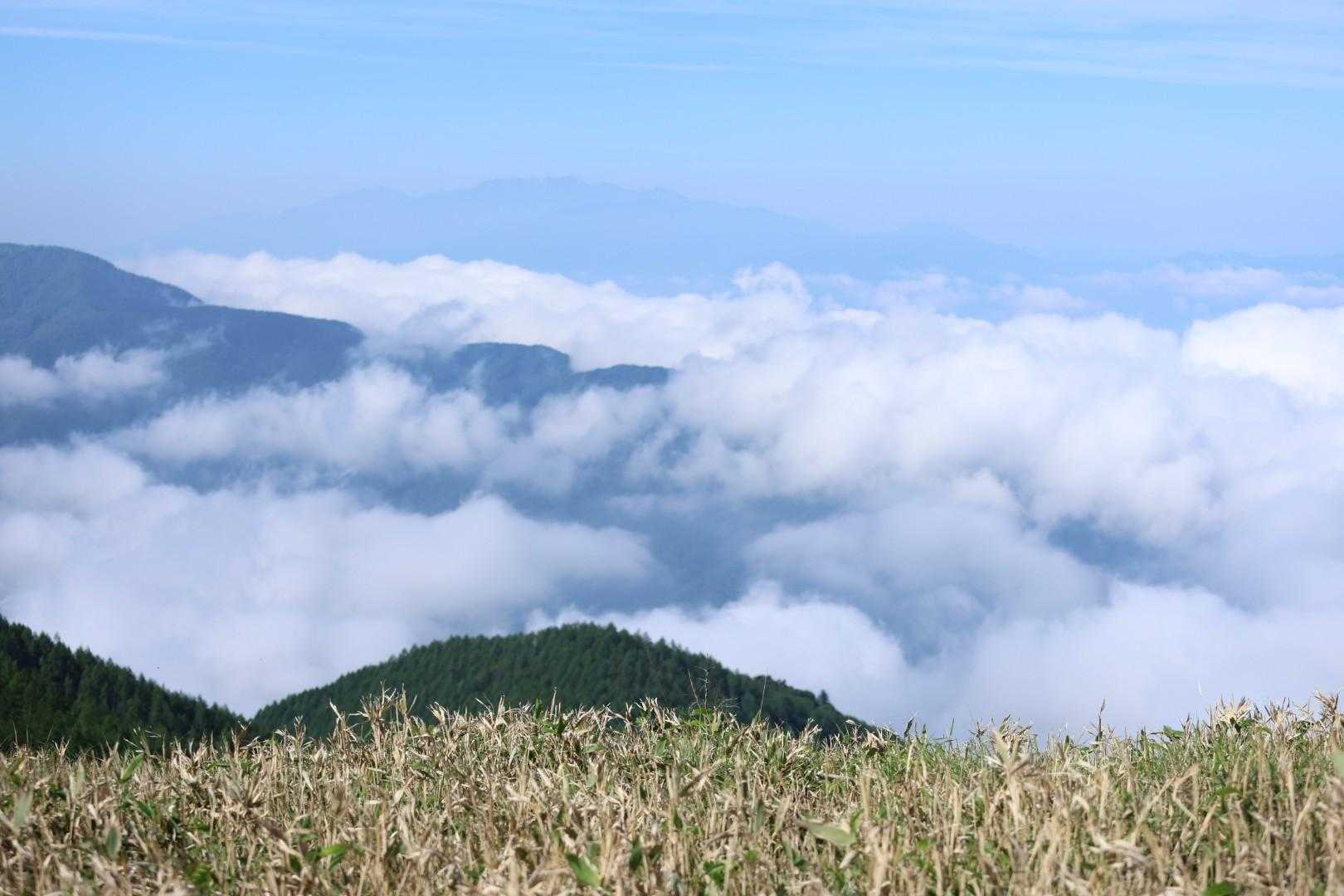 武石峰 往復コースの写真