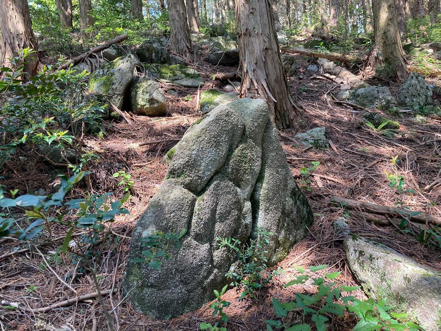 亀の甲羅みたいな岩ありました🐢
一つでなはなくいくつもです🪨どうやって出来るのか気になります😐