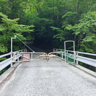 このゲートが開いてたら車でもう5km奥まで行けるのになぁ。