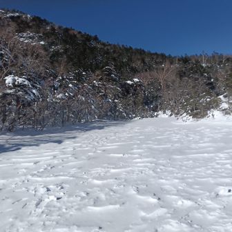 七ツ池は雪の下