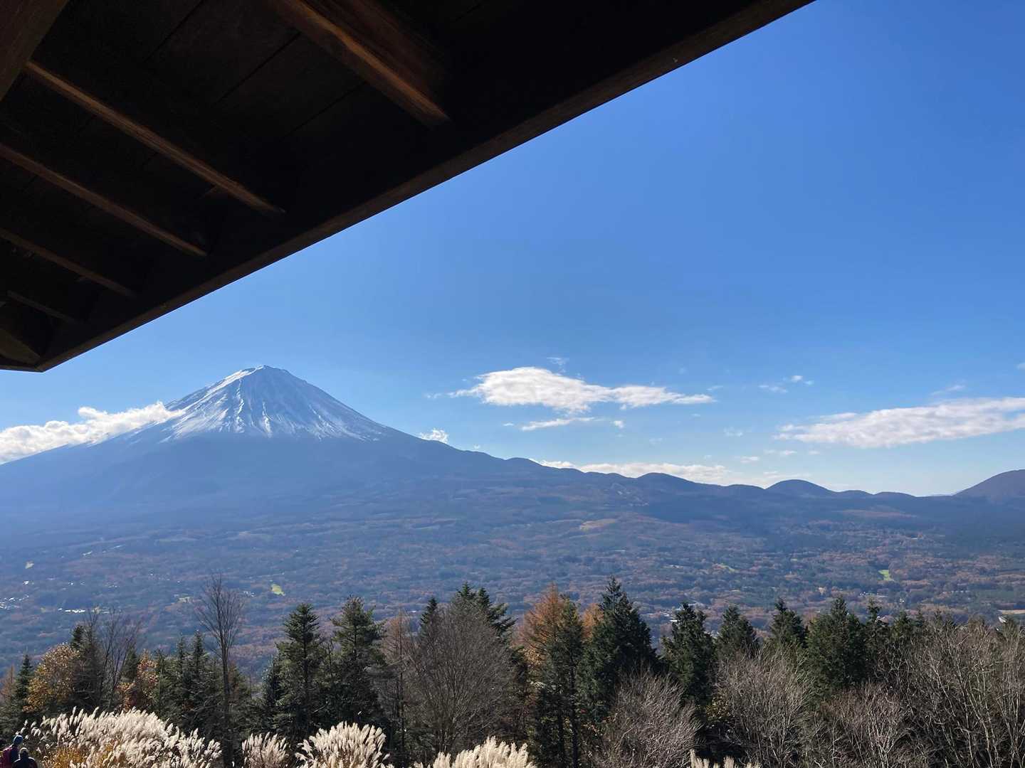 足和田山往復 | 見上げるほど間近にそびえる富士山。眼下に広がる神秘の樹海の写真