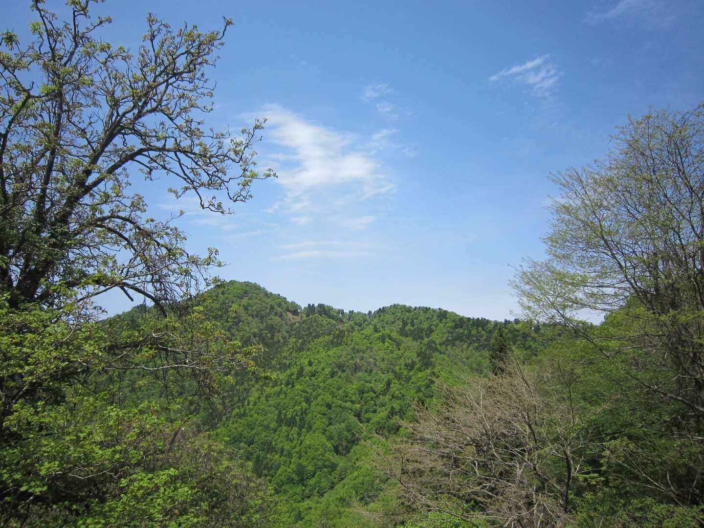 陣鉢山の写真