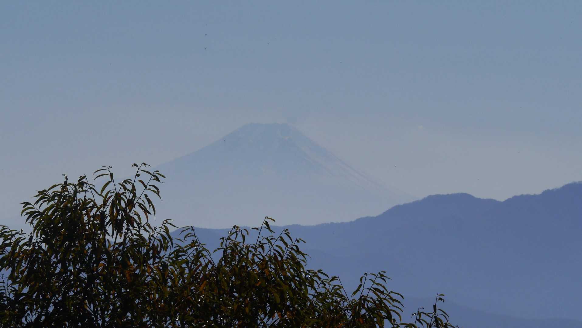 うっすら富士山。
