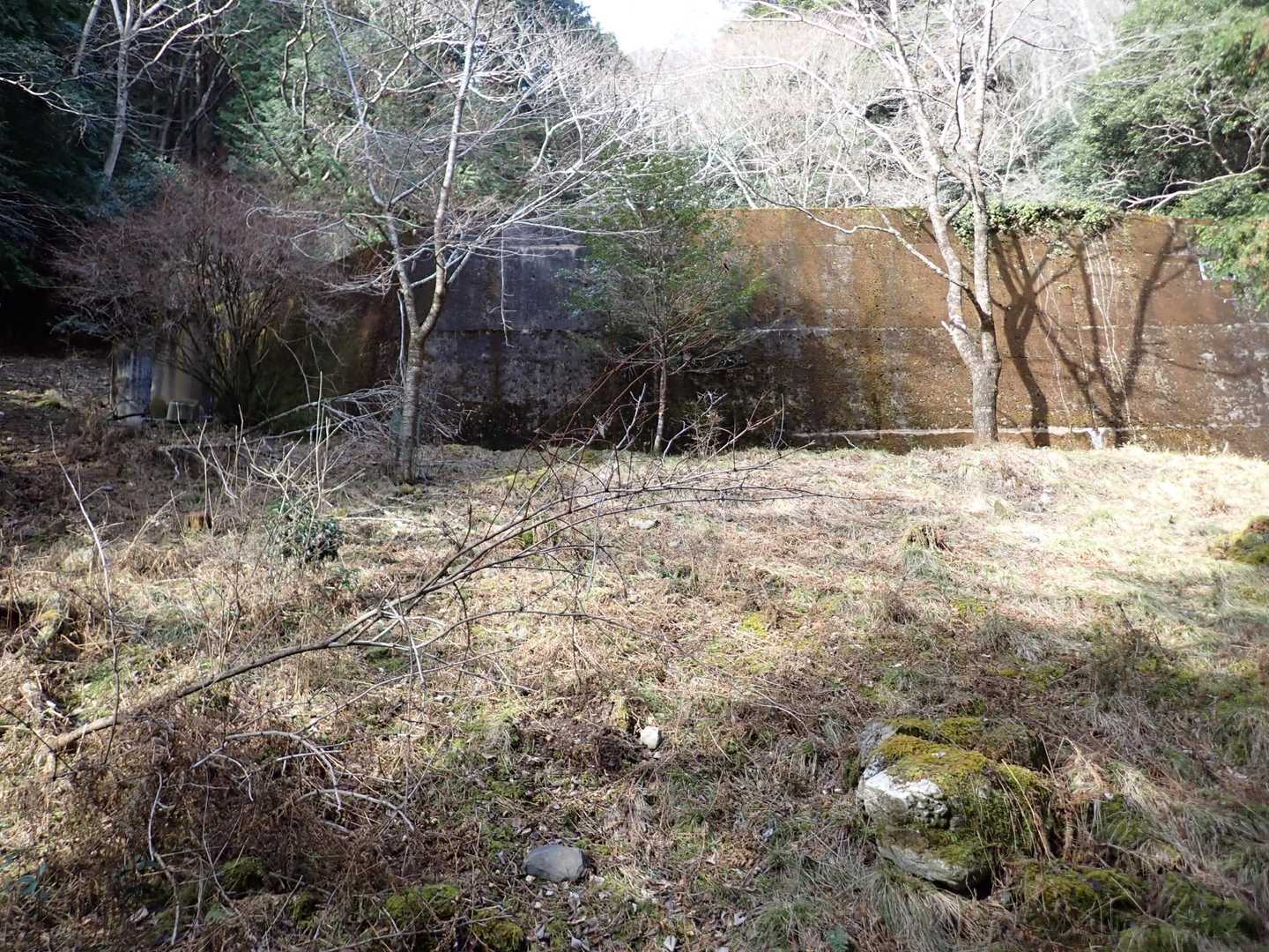 花を愛でた後、お寺の方に声を掛けてから、登山開始⛰

しかし早速道間違いをしてしまいました😱

お寺から林道を川沿いに登り、写真の砂防ダムの横からが登山道になってます。

よく見るとピンクテープがありましたがそのまま林道を進んで行き止まりに😭
