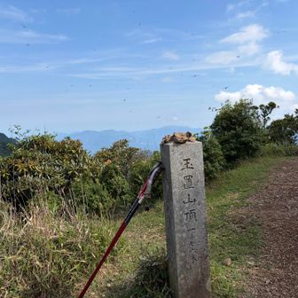 少し霞んでいますが果無山が…　奥辺路の稜線にうっとり…。

