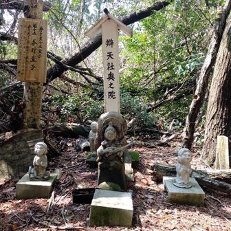 弁天岳山頂562mです　弁天社奥之院　