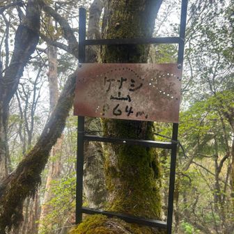 行きの時に見落とした
毛無山最高点到着⛰️
6座目