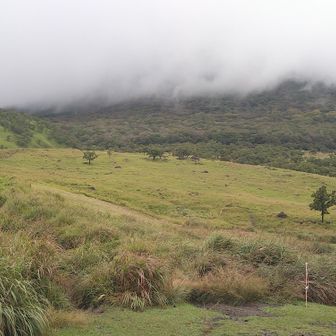 正面登山口からスタートしましたが、由布岳の上部はガスガス状態です😭