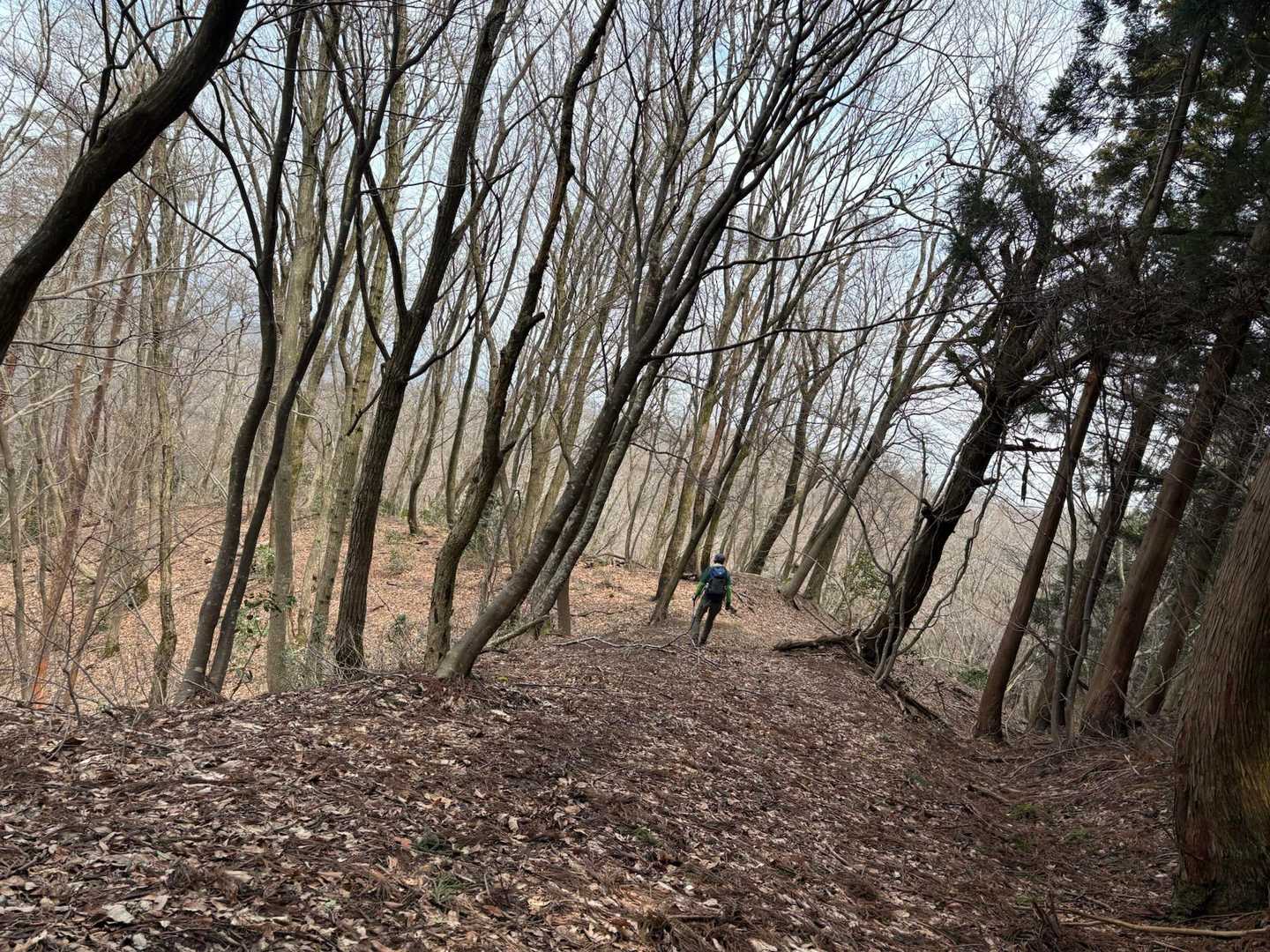 オッさんでも登れる山も　まだ有り🐜ﾏｽ
アリ🐜いっぱいの福井の山🐜